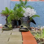 شقة Carstensen - Gemuetlich Und Rollstuhlfreundlich Eingerichtetes Mit Terrasse *