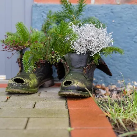 דירה Carstensen - Gemuetlich Und Rollstuhlfreundlich Eingerichtetes Mit Terrasse *